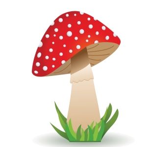 TWWW Mushroom